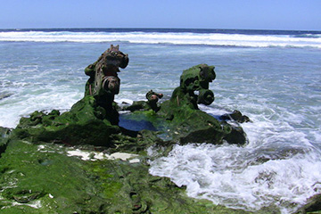 希洛港口查詢_hilo港口代碼_美屬太平洋群島希洛港口代碼